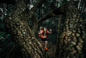 BIB: 
                            <button type="button" onclick="openModal(25685408)" class="btn btn-primary btn-sm float-right btn-popup" data-toggle="modal" data-target=".modal-high-quality">
                        <i class="fas fa-shopping-cart"></i> Add to Cart
                    </button>
                                            <button type="button" onclick="isThisMe(25685408, true)" class="btn btn-success btn-sm float-right btn-popup btn-isme hidden" data-toggle="tooltip" data-placement="bottom" title="นี่คือรูปของคุณใช่ไหม คลิกที่นี่เพื่อเอาเข้าอัลบั้ม">
                        <i class="fas fa-plus"></i> Add to album
                    </button>
                    <button type="button" onclick="isThisMe(25685408, false)" class="btn btn-warning btn-sm float-right btn-popup btn-isnotme hidden">
                        <i class="fas fa-ban"></i> Remove from album
                    </button>